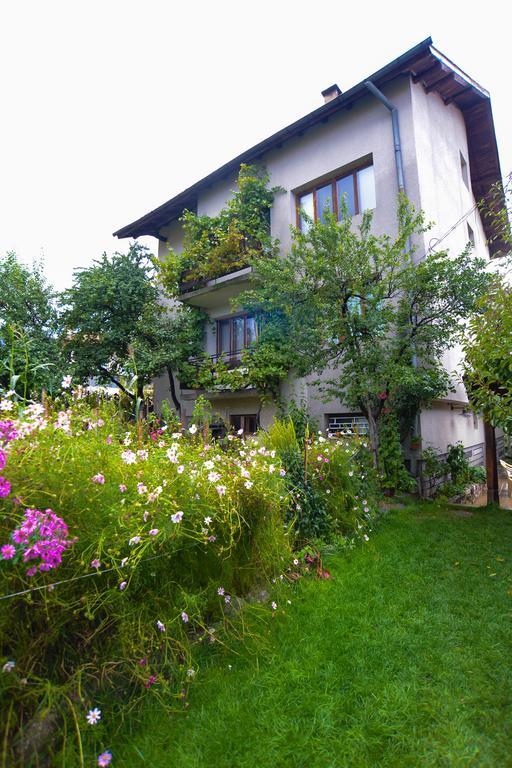 Topuzovi Guest House Dobrinishte Exterior foto