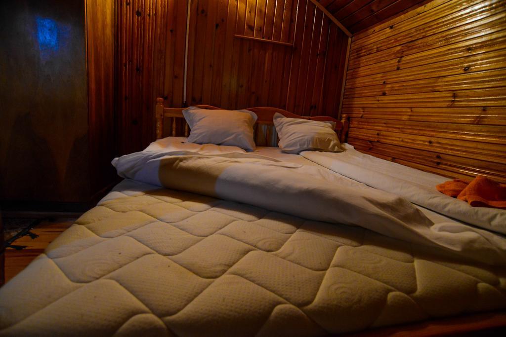 Topuzovi Guest House Dobrinishte Exterior foto