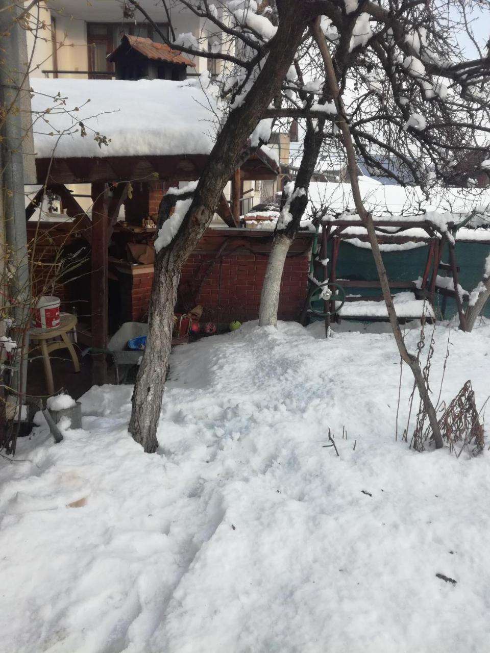 Topuzovi Guest House Dobrinishte Exterior foto